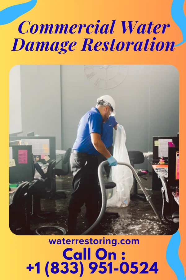 Commercial Water Damage Restoration in Marietta-Alderwood, WA