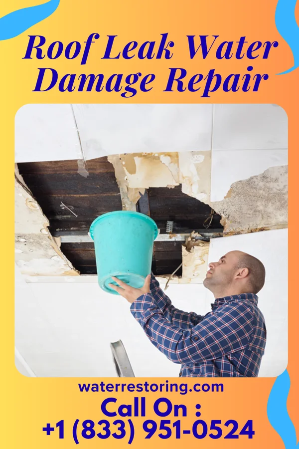 Roof Leak Water Damage Repair in Marietta-Alderwood, WA