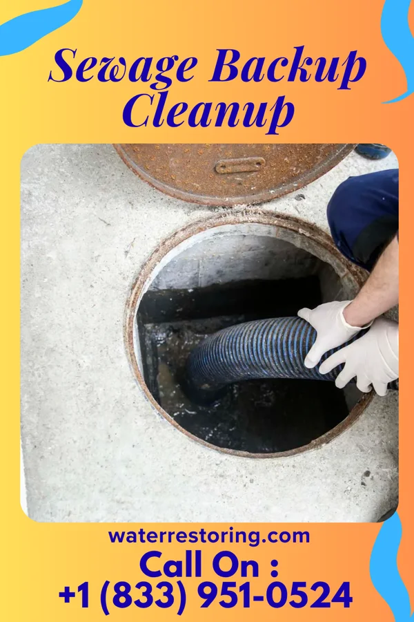 Sewage Backup Cleanup in Marietta-Alderwood, WA